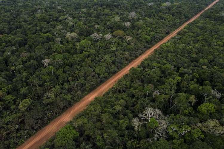 Amazônia - Michael DantasAFP.jpg