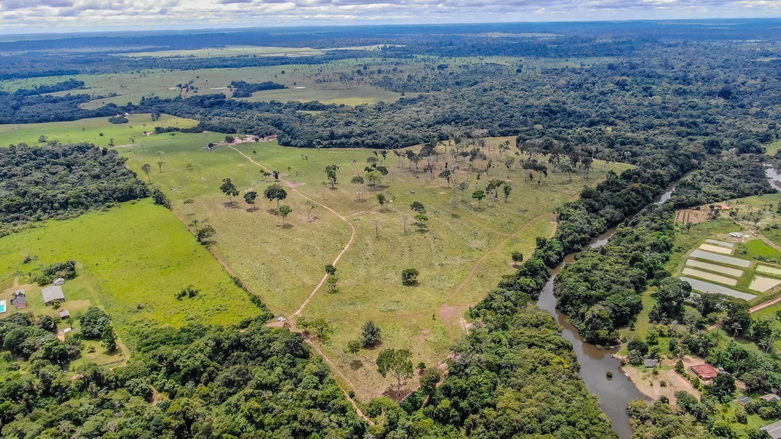 Carbon credits in the Amazon