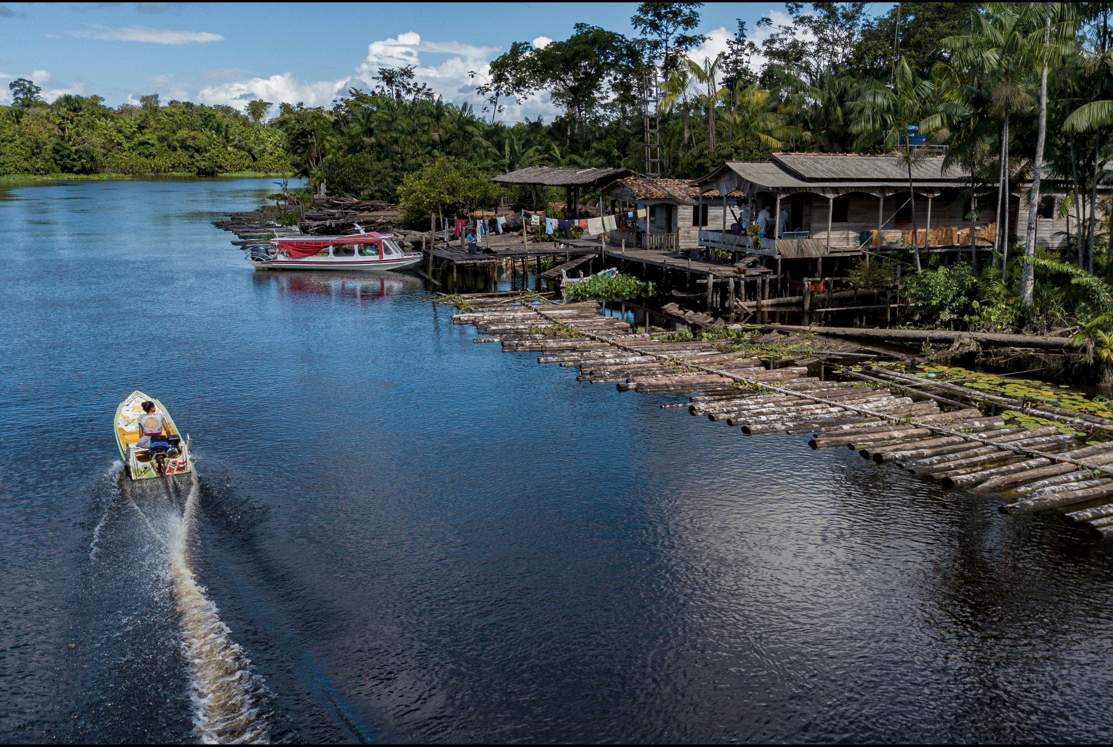 Paradoxo Amazonico Foto tarso Sarraf (12).jpg