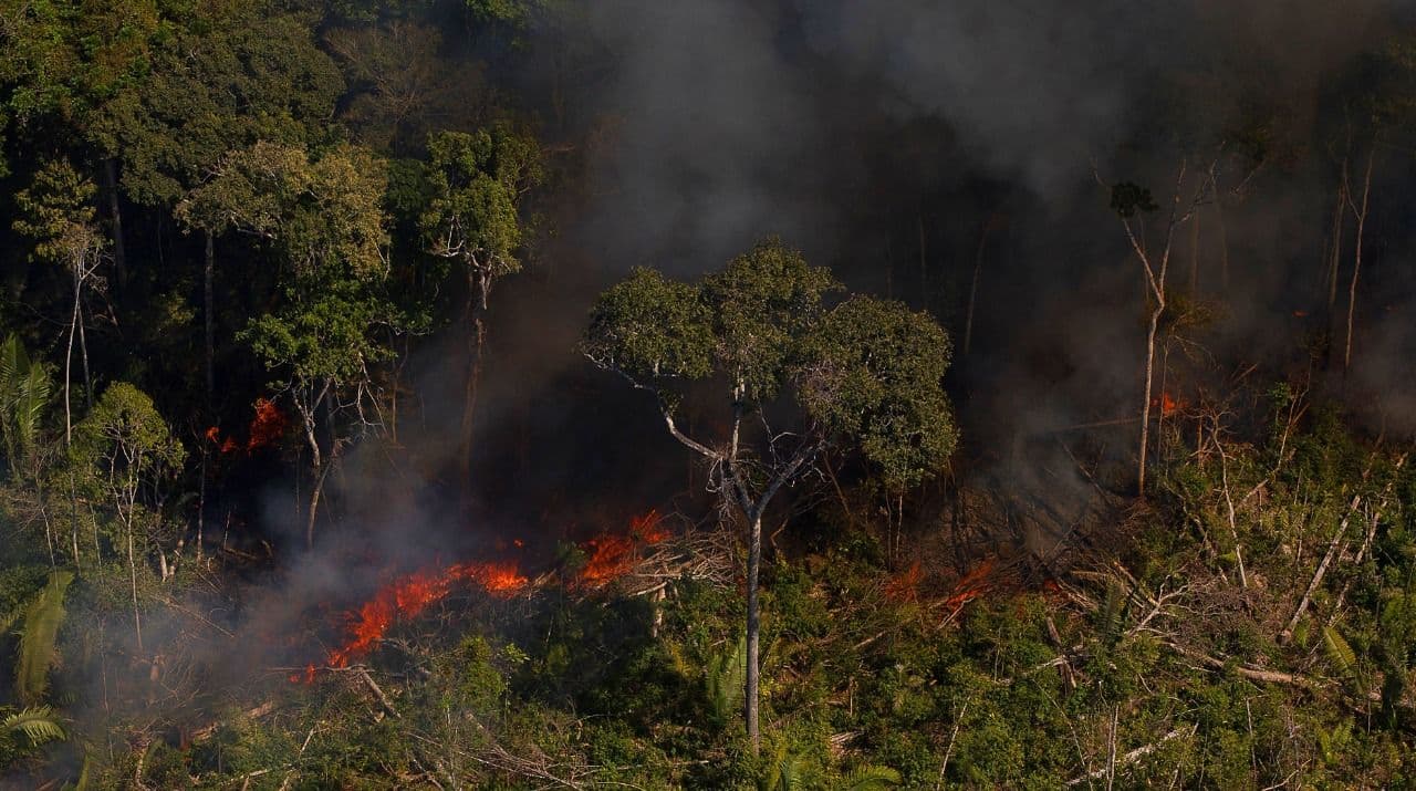 Bruno Kelly-Amazônia Real.jpeg