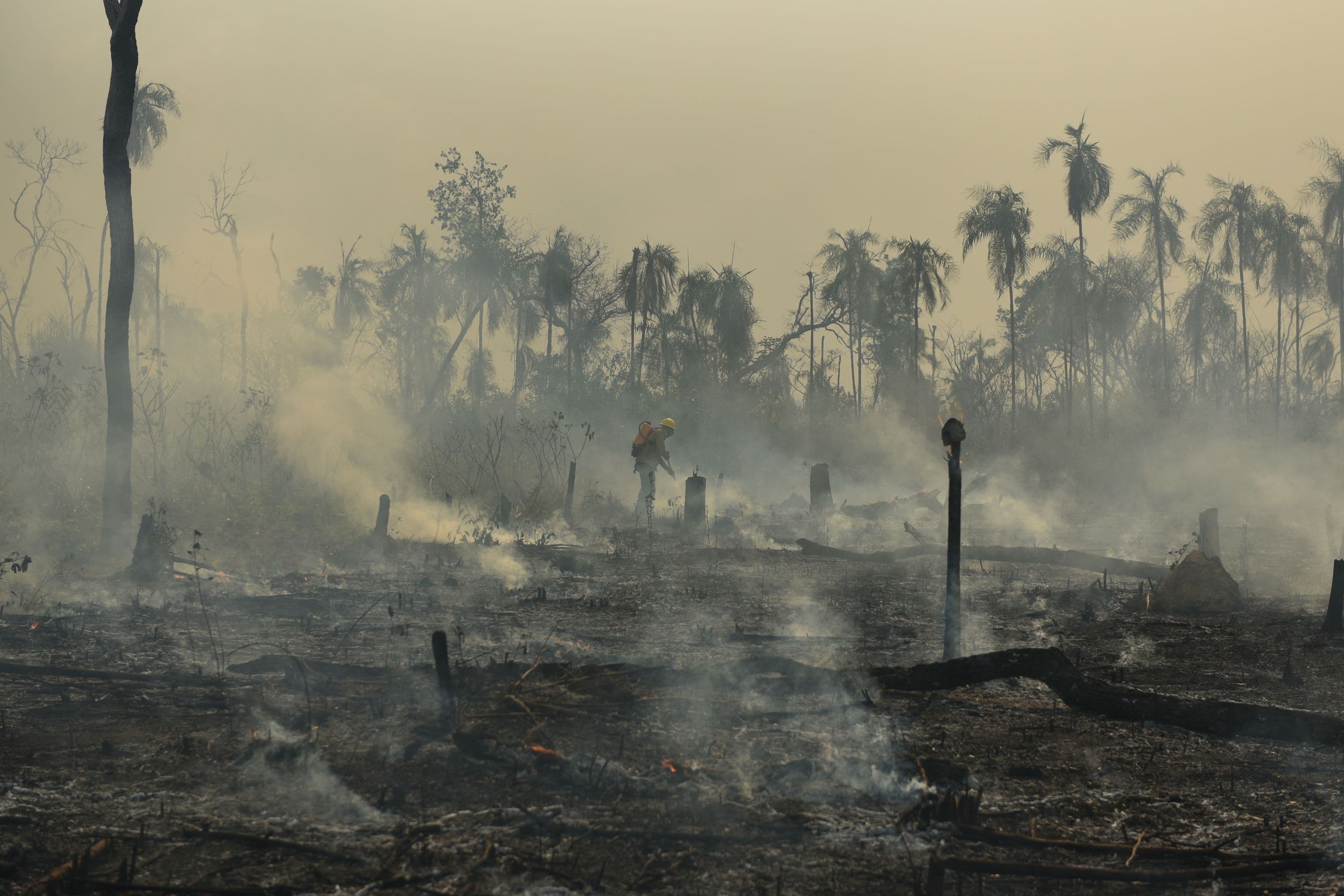 Queimada na Amazônia_Foto Felipe Werneck Ibama.jpg